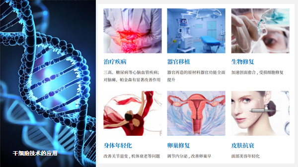 福寿康养干细胞研究中心.jpg