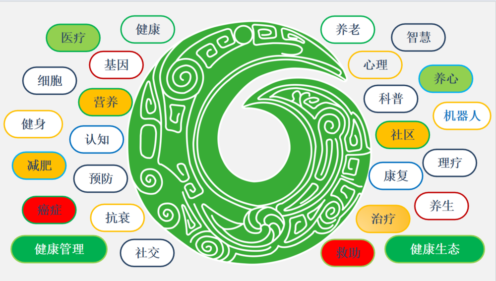健康生態(tài)圈服務(wù)范圍.png
