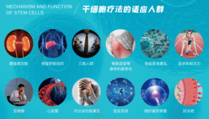 干細(xì)胞療法適應(yīng)人群 (2)