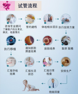 試管嬰兒流程