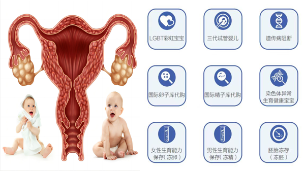 福寿康养试管婴儿流程图.jpg